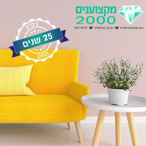 ניקוי שטיחים ספות וריפודים עושים רק עם מקצוענים 2000